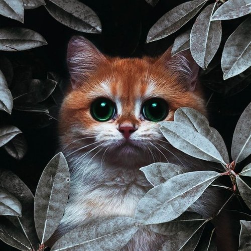 Александра