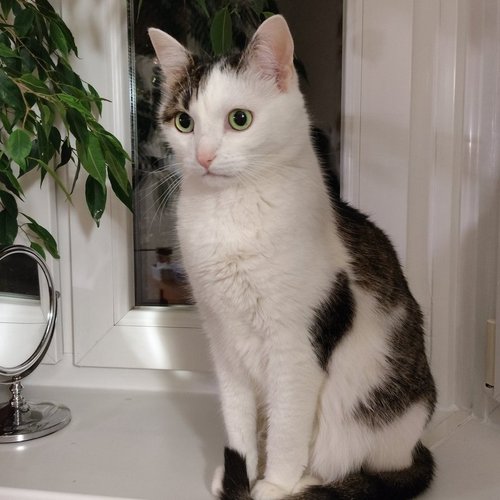 Ольга, 18 августа 2025