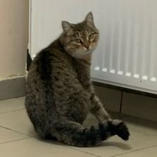 Михаил, 11 января 2026