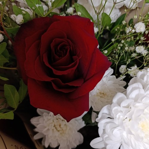 Оксана, 14 ноября 2025