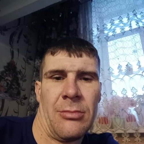 @user219438172