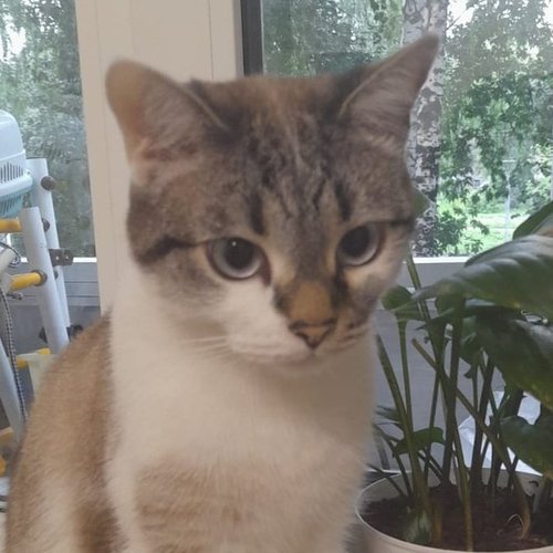 Ольга, 26 сентября 2025