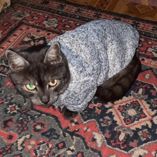 Галина, 5 декабря 2025